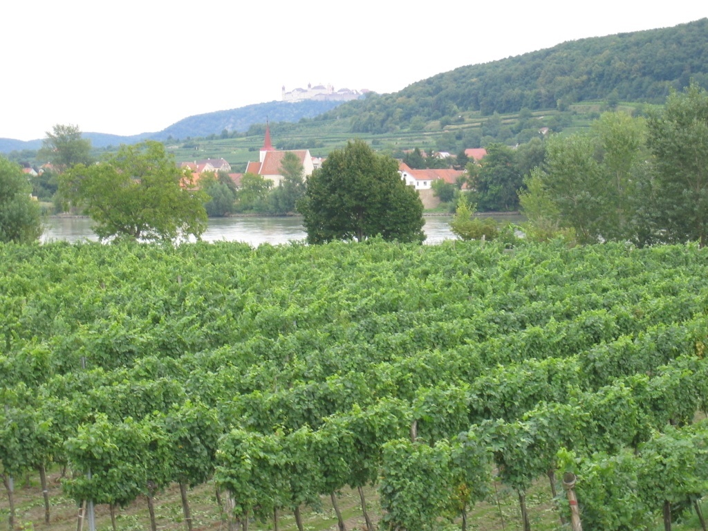 Etapa en bicicleta Melk-Krems Etapa en bicicleta Melk-Krems